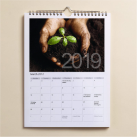 A3 Wall Calendar (13 Sheets)